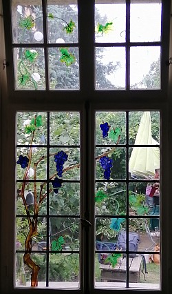 Reben vor dem Garten