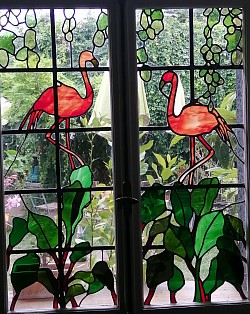 Flamingos